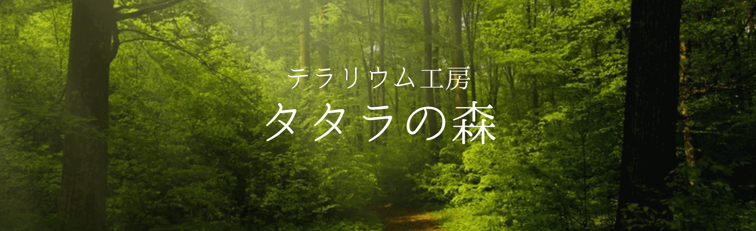 タタラの森